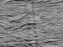 EXIT TOYS EXIT Trampolin Abdeckplane ø244cm -Garten Spielzeug Laden 11210801 d exittoys plachta